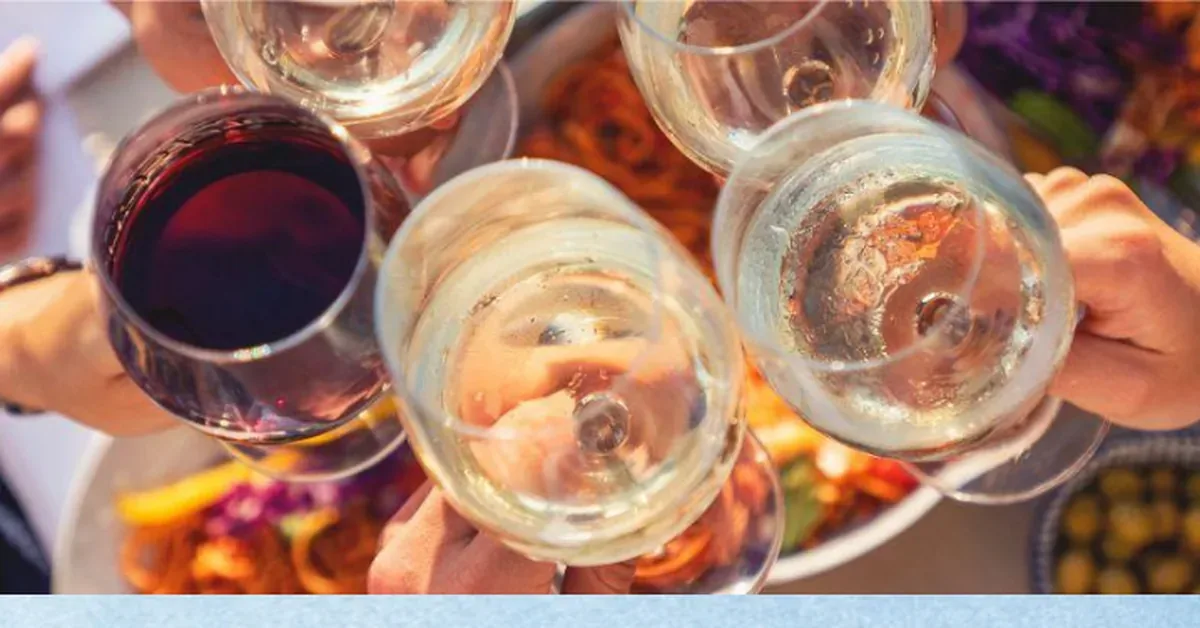 People toasting with wine glasses at an outdoor gathering, celebrating with white and red wine in a social dining setting.
